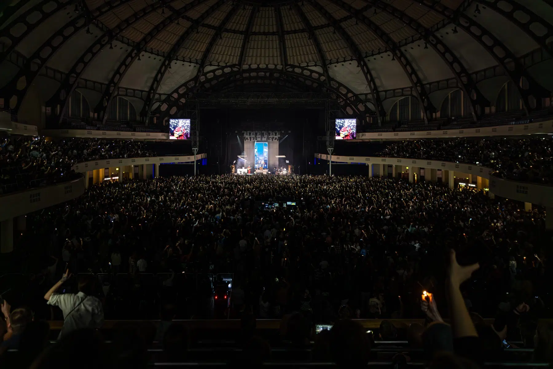 18.01.2025-Alligatoah-Frankfurt-Jan-Heesch-Cityguide-Rhein-Neckar-71 18.01.2025-Alligatoah-Frankfurt-Jan-Heesch-Cityguide-Rhein-Neckar-71