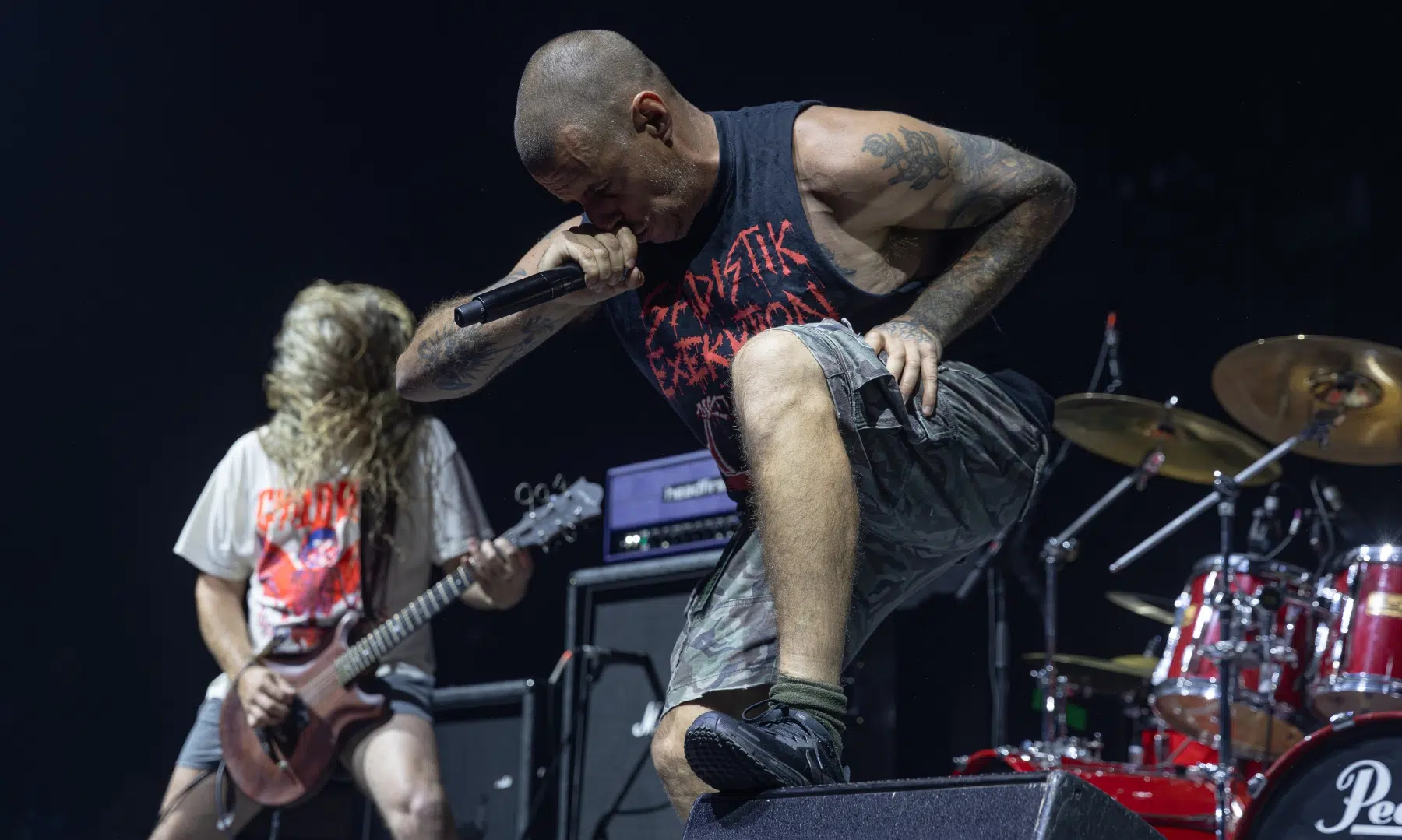 09.02.2025-King-Parrot-11 09.02.2025-King-Parrot-11