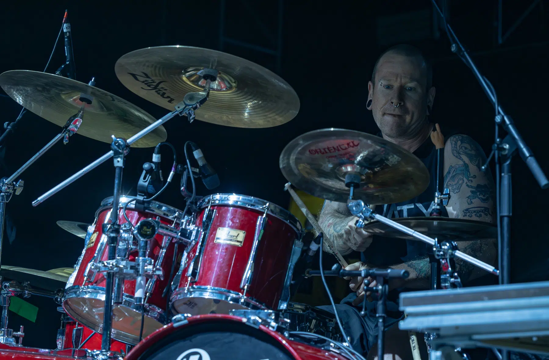 09.02.2025-King-Parrot-13 09.02.2025-King-Parrot-13