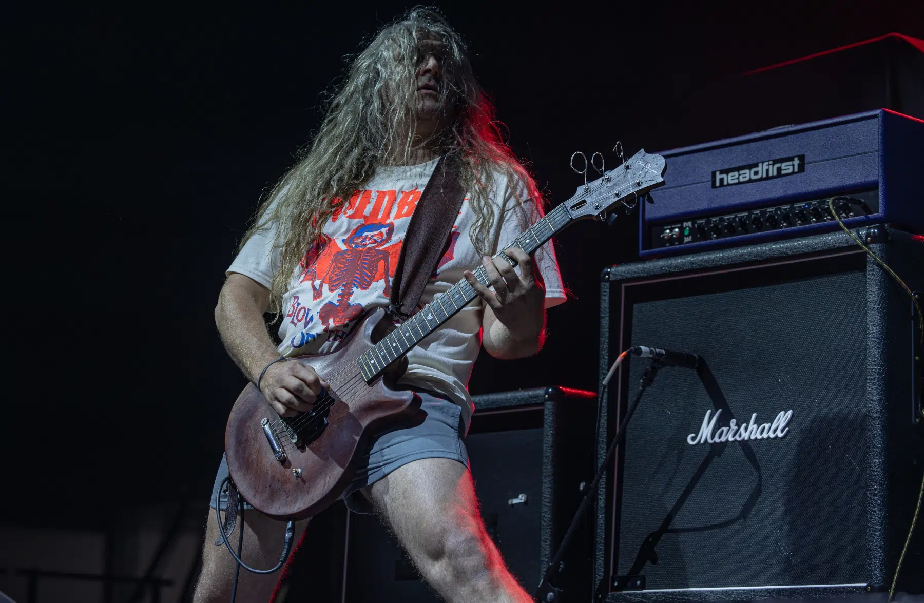 09.02.2025-King-Parrot-14 09.02.2025-King-Parrot-14