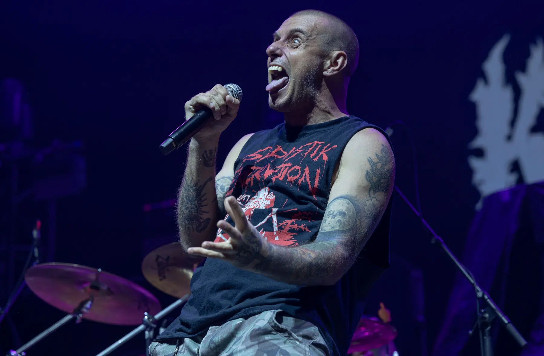 09.02.2025-King-Parrot-15 09.02.2025-King-Parrot-15