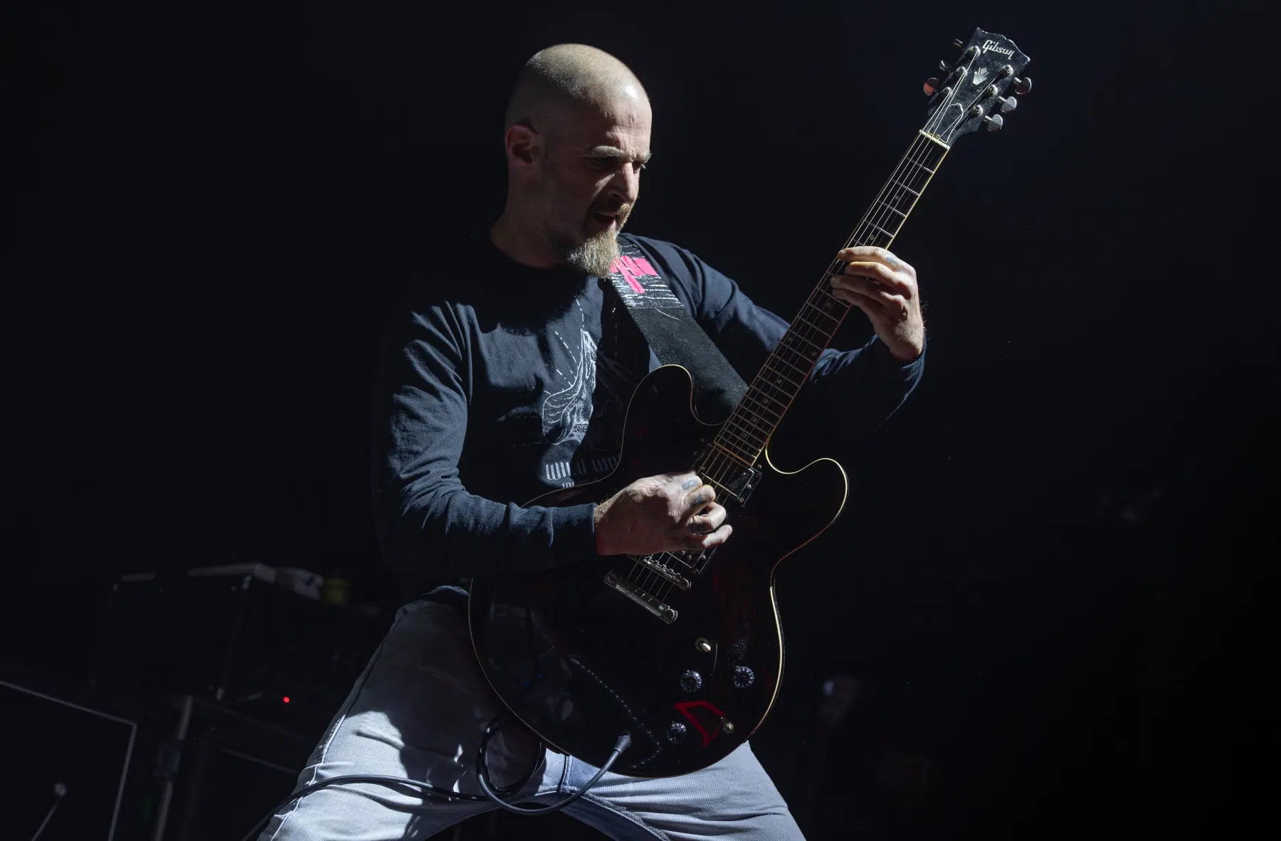 09.02.2025-King-Parrot-17 09.02.2025-King-Parrot-17