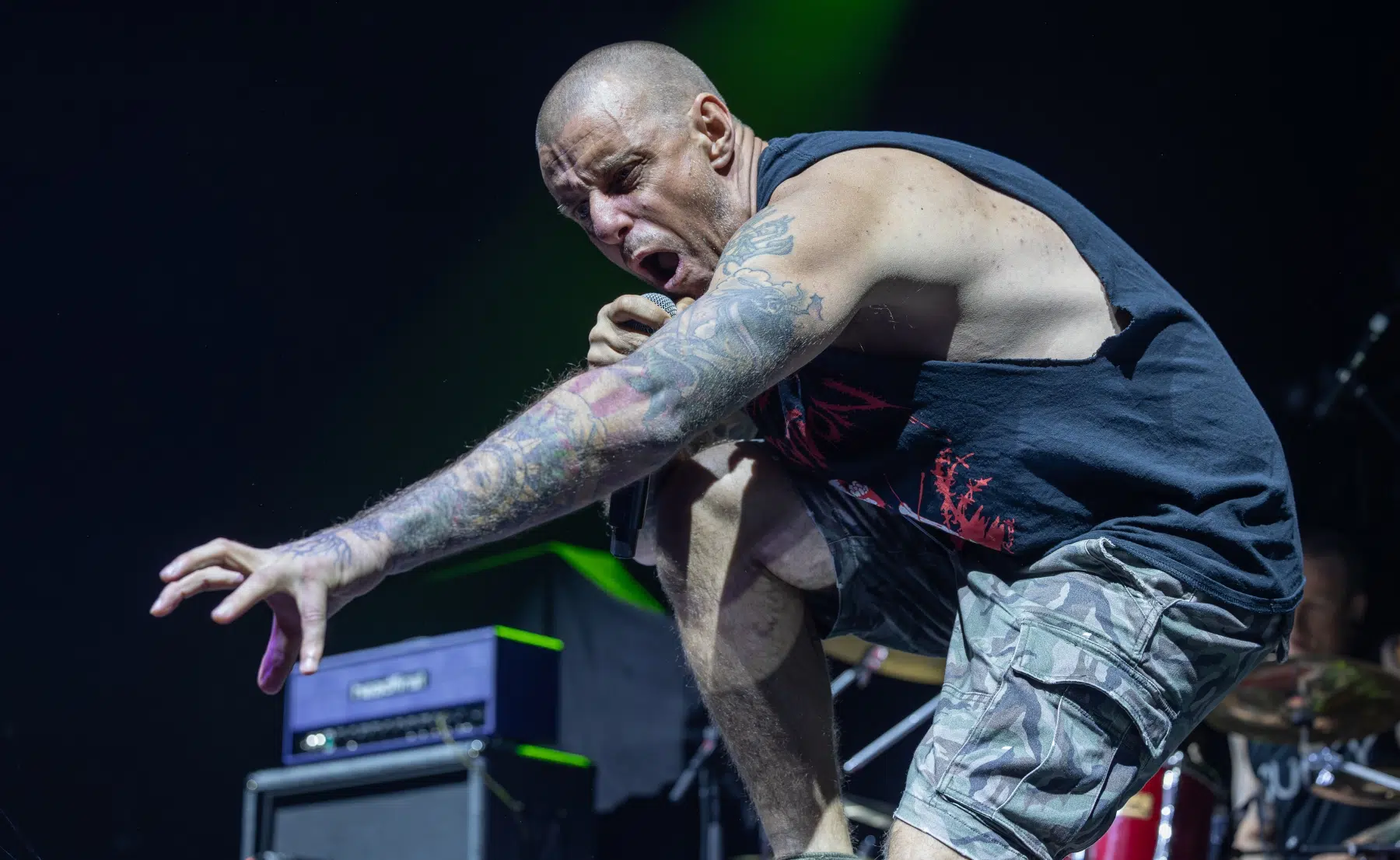 09.02.2025-King-Parrot-18 09.02.2025-King-Parrot-18