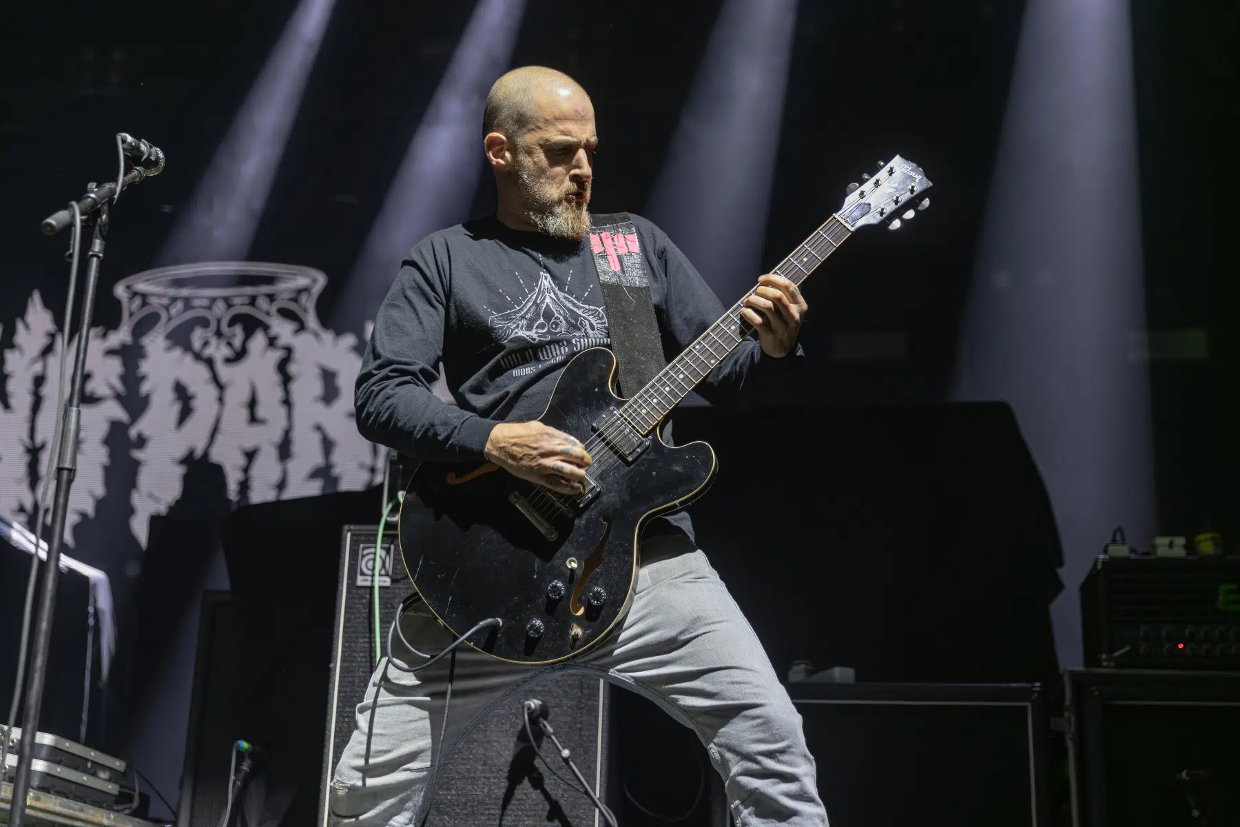 09.02.2025-King-Parrot-4 09.02.2025-King-Parrot-4