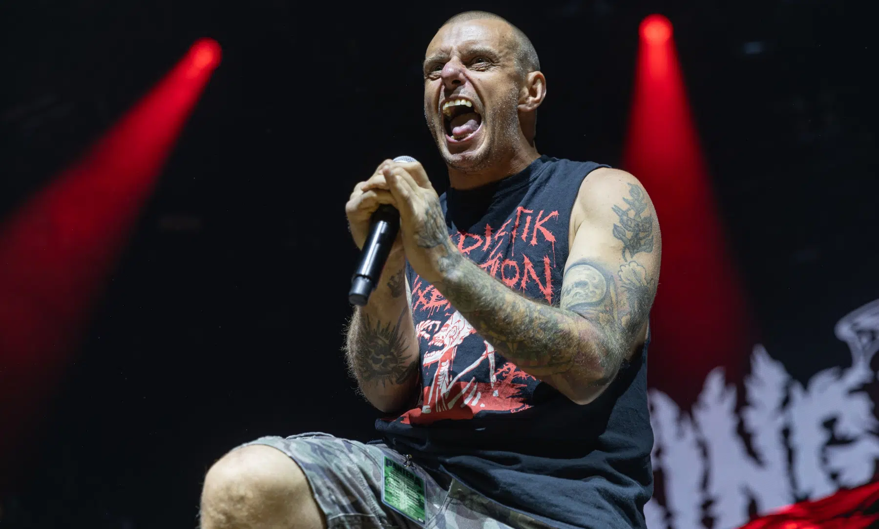 09.02.2025-King-Parrot-6 09.02.2025-King-Parrot-6