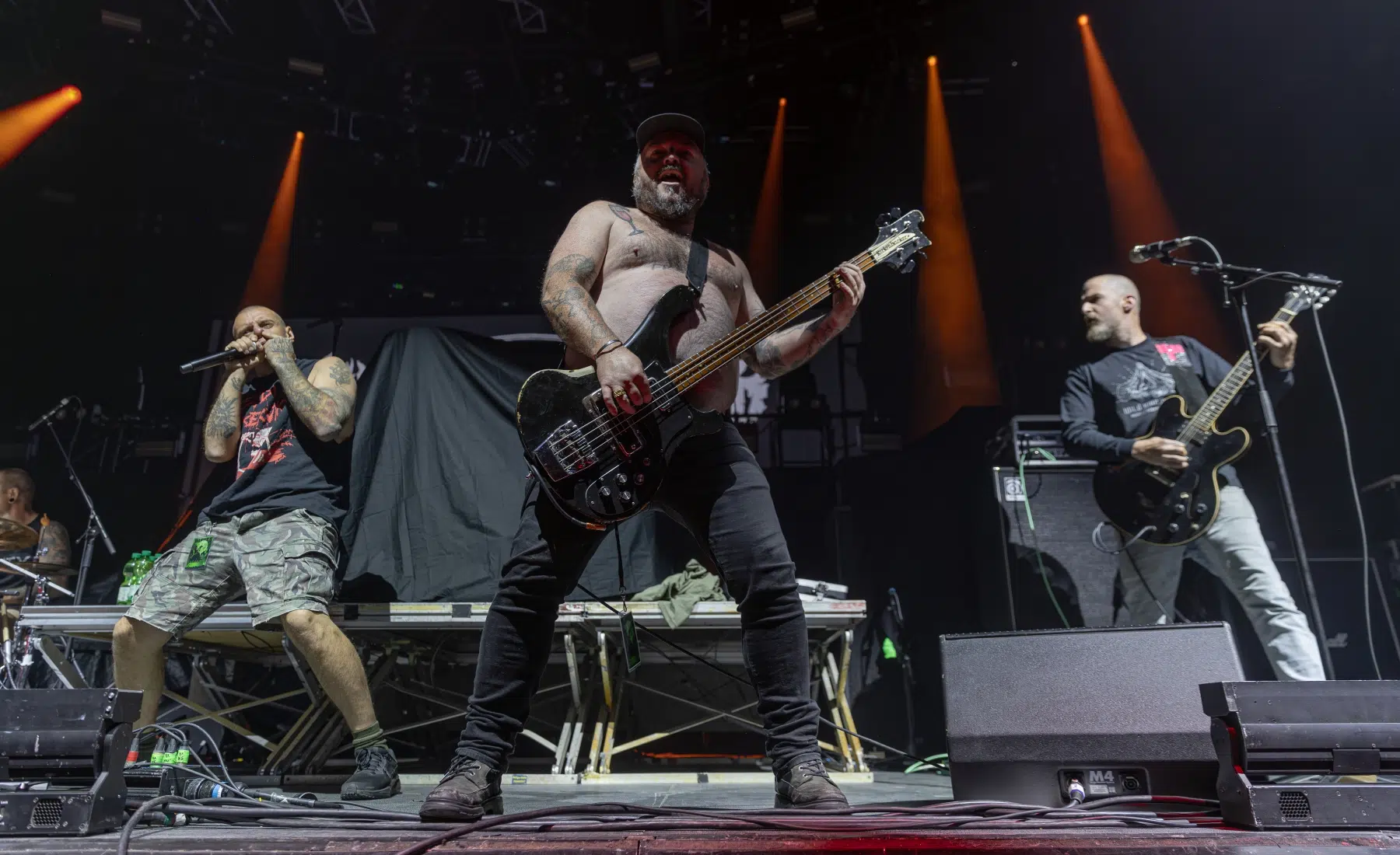 09.02.2025-King-Parrot-9 09.02.2025-King-Parrot-9