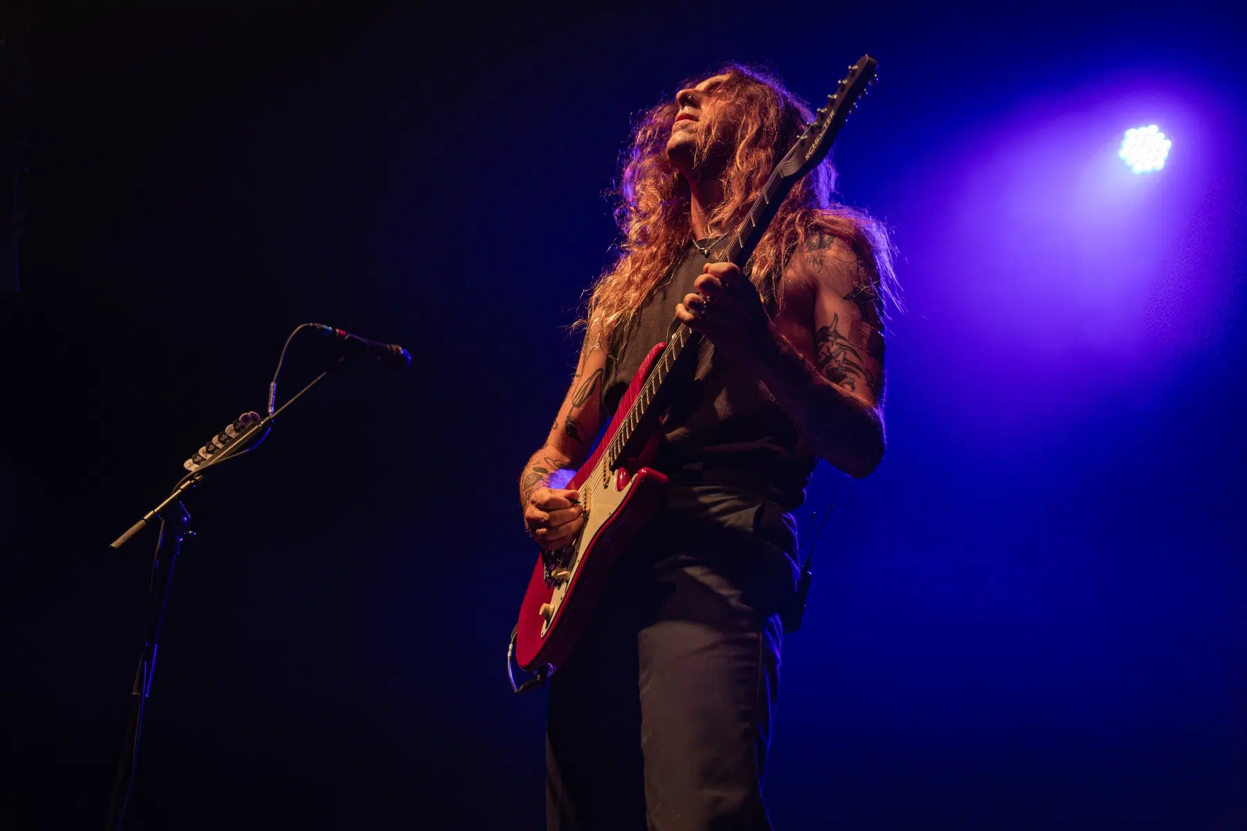 13.08.2025-Mastodon-27 13.08.2025-Mastodon-27