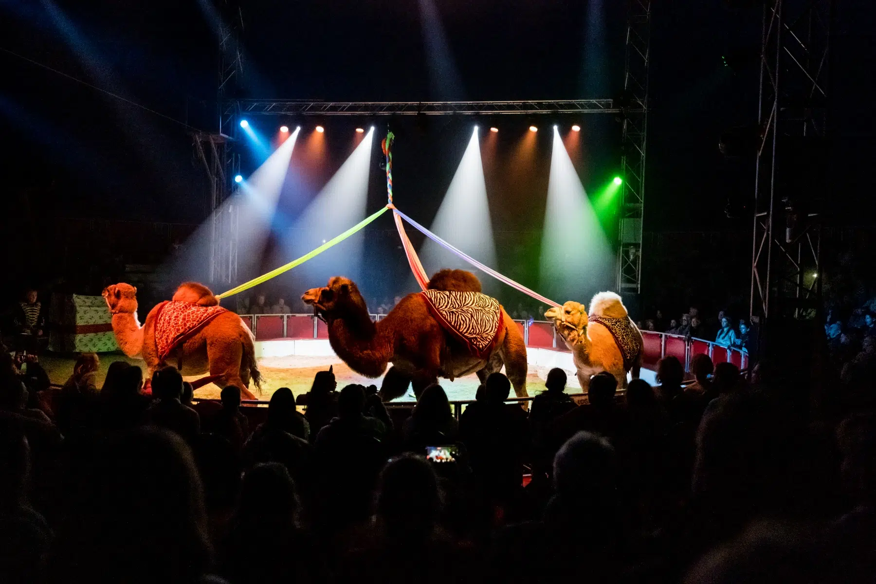 20231221_Wiesbadener_Weihnachtscircus_015 20231221_Wiesbadener_Weihnachtscircus_015