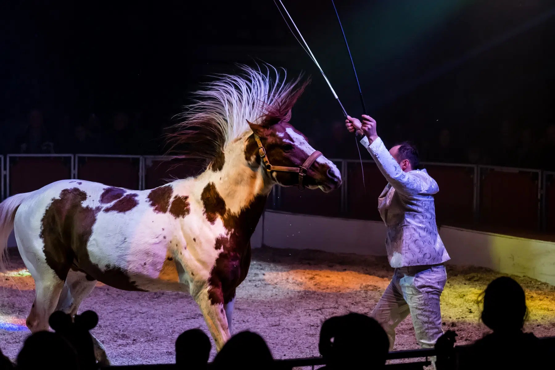 20231221_Wiesbadener_Weihnachtscircus_016 20231221_Wiesbadener_Weihnachtscircus_016