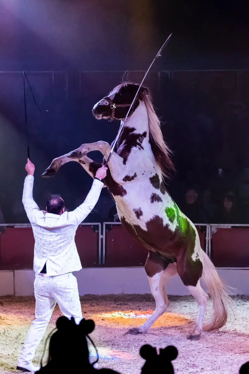 20231221_Wiesbadener_Weihnachtscircus_017 20231221_Wiesbadener_Weihnachtscircus_017
