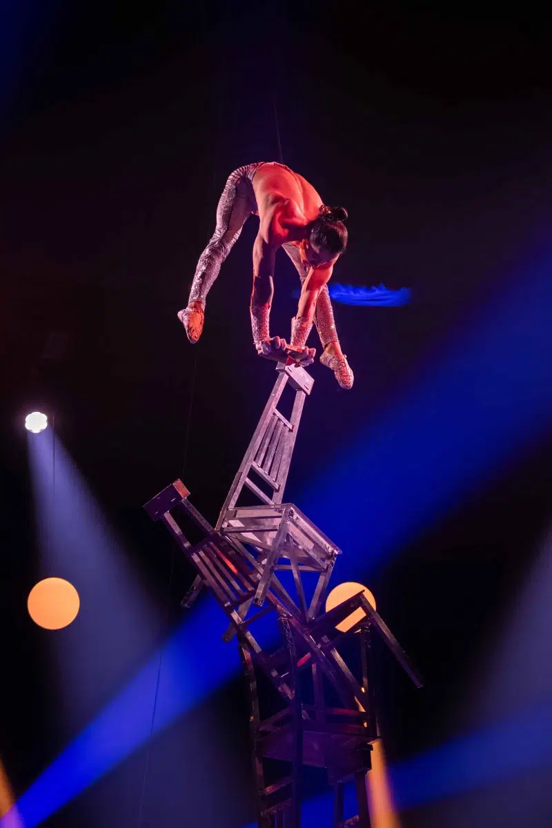 Premiere 10 Jahre WinterVarieté Heidelberg am 27.11.2025
Fotos © by Boris Korpak | bokopictures Premiere 10 Jahre WinterVarieté Heidelberg am 27.11.2025
Fotos © by Boris Korpak | bokopictures