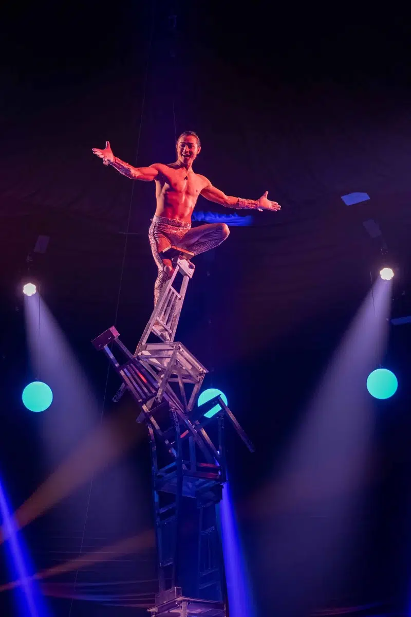 Premiere 10 Jahre WinterVarieté Heidelberg am 27.11.2025
Fotos © by Boris Korpak | bokopictures Premiere 10 Jahre WinterVarieté Heidelberg am 27.11.2025
Fotos © by Boris Korpak | bokopictures