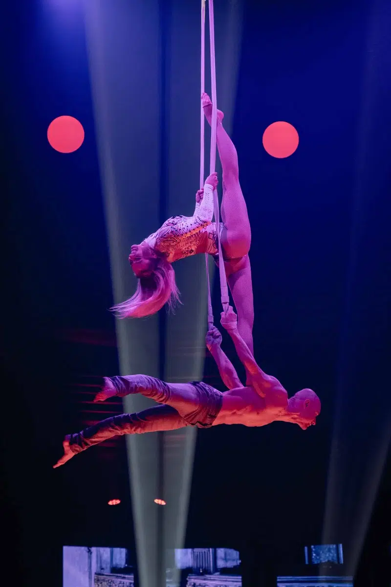 Premiere 10 Jahre WinterVarieté Heidelberg am 27.11.2025
Fotos © by Boris Korpak | bokopictures Premiere 10 Jahre WinterVarieté Heidelberg am 27.11.2025
Fotos © by Boris Korpak | bokopictures