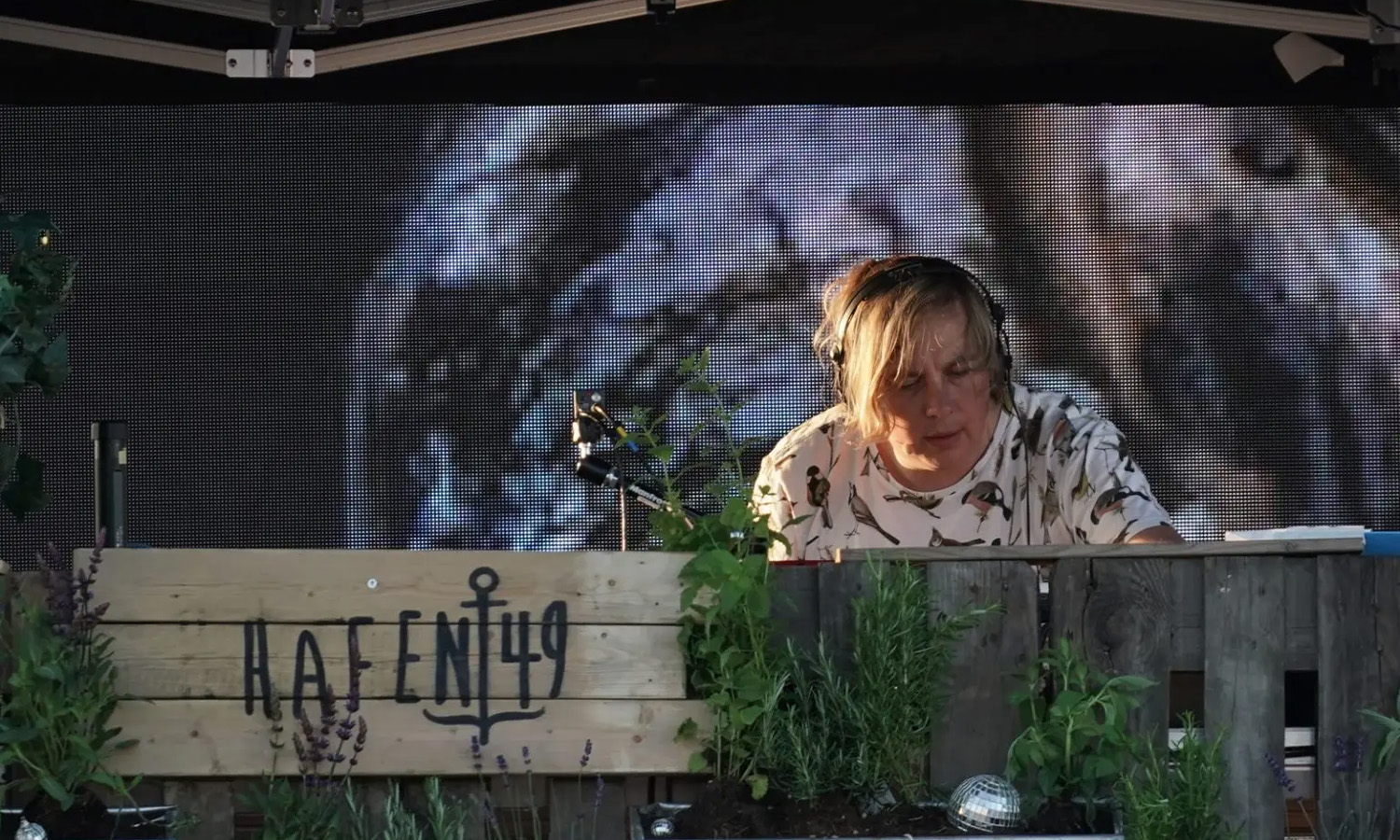 Dominik Eulberg live beim CARStival auf dem Maimarktgelände Mannheim 2020