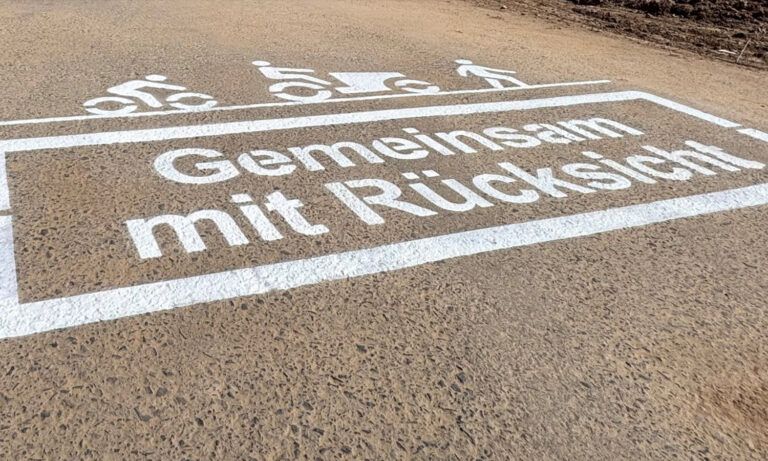 Erstes Piktogramm in der Stadt Alzey aufgebracht