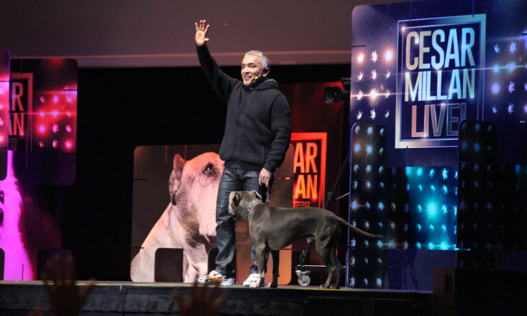 Cesar Millan am 28. September 2014 bei „Leader of the Pack“ in der SAP Arena Mannheim