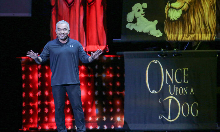Cesar Millan bei „Once Upon A Dog“ am 27. Februar 2017 vor 6.500 Zuschauern in der SAP Arena Mannheim