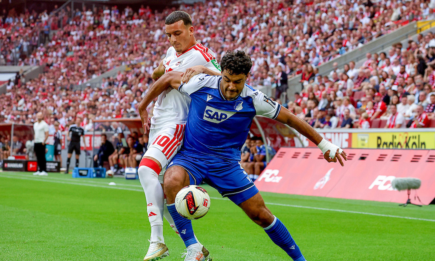 Spielszene zwischen dem 1. FC Köln und der TSG Hoffenheim am 29. August 2026 im RheinEnergieSTADION